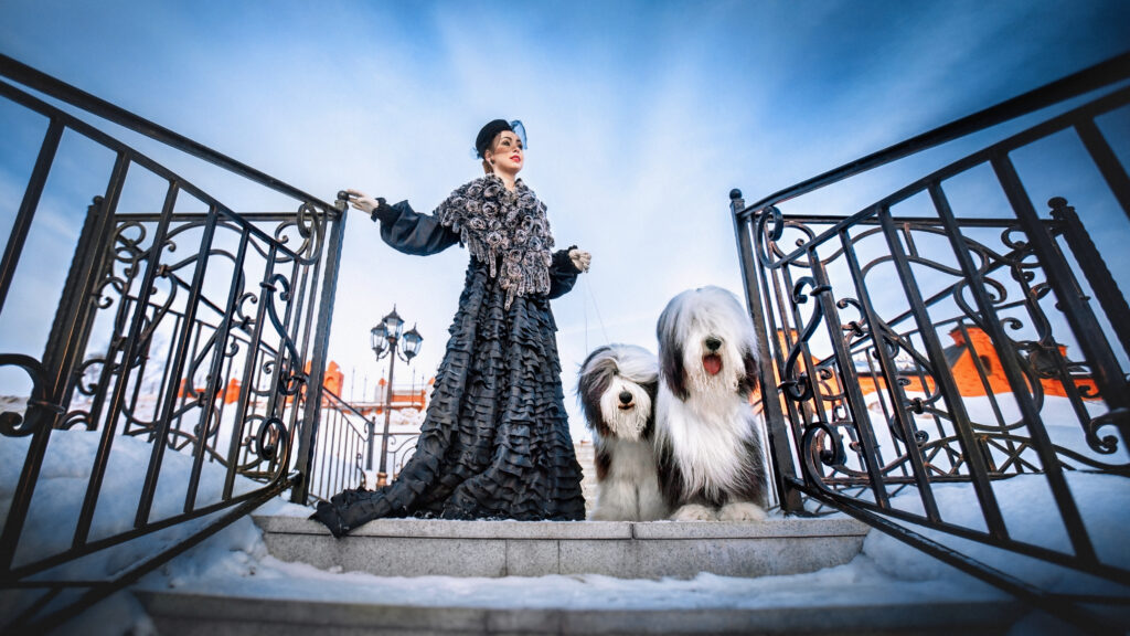 фото Оксаны Серовой
на фото собаки: DREAM GIRL KASITERIT и MONSIEUR LE CHANCEUX DE CHESTER